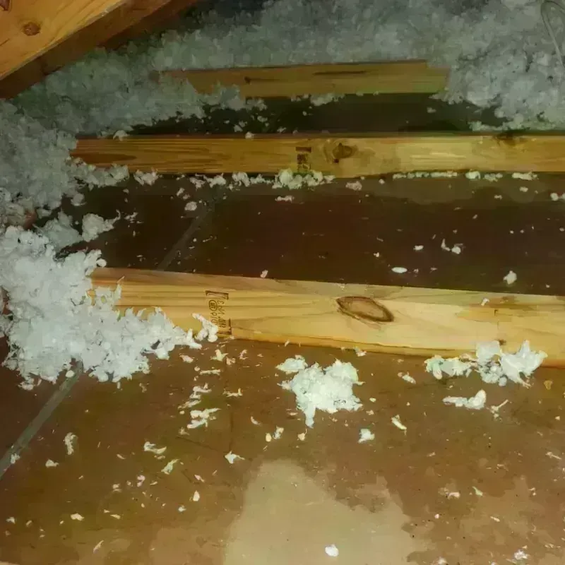 Attic Water Damage in Spring Arbor, MI